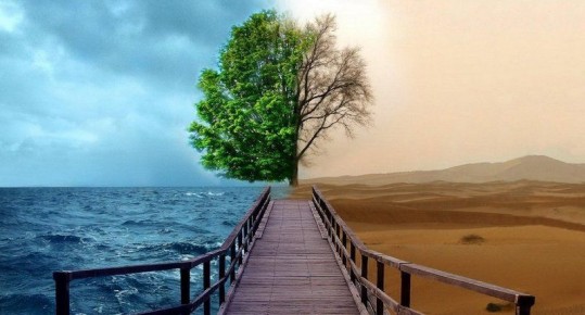 33 �������, ������� ������� ������ ���� � ����� ����������