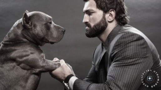 ������ ������� ��������: ������, ������� ������������ ��������������