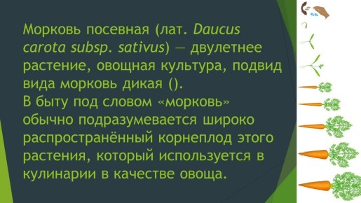 �������: �� ������ ����, � ��������� ���������� ������