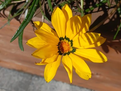 �����, ������� ����� �������: ������� � ������ 2026 ����