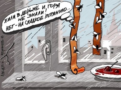 ������� ������� � �������: ��� �� � ��� ������