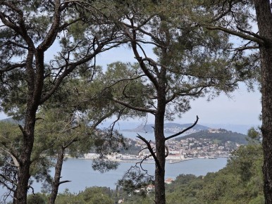 ��� �������� ��������� ���� ���������� � ����������