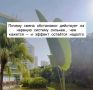 ����� ����������: ��� ������ ������ �� ���� ������� �������
