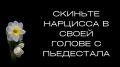 ��� ���������� �� ������� ��������� � ����� �����
