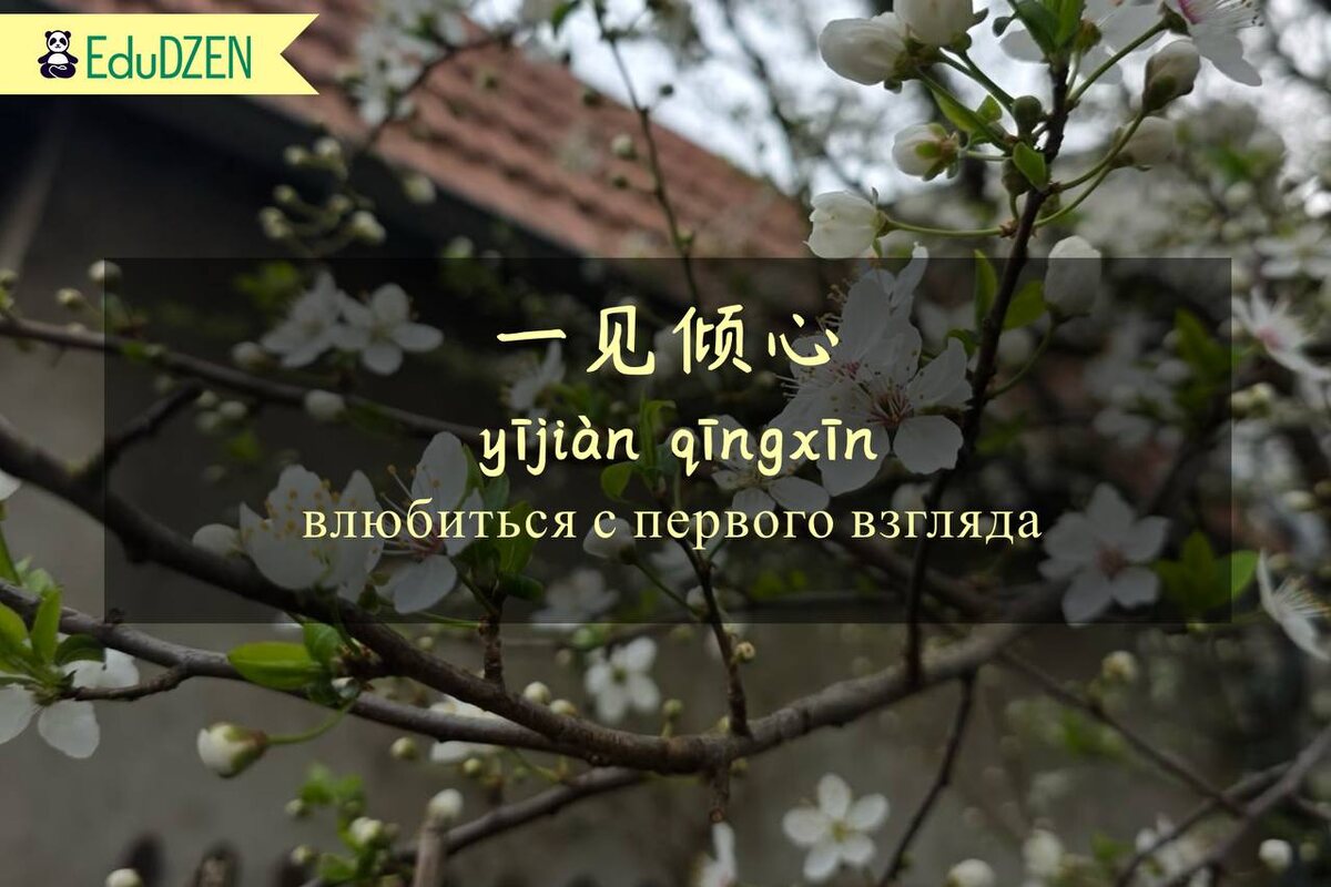 Любовь с первого взгляда: как мгновение меняет судьбу
