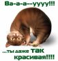 Комплименты: магия нежданной похвалы