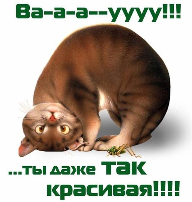 Комплименты: магия нежданной похвалы