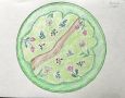 Мандалы и их магия: извлечение смысла из искусства