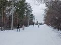 Как вернуть активность в жизнь после праздников без стресса